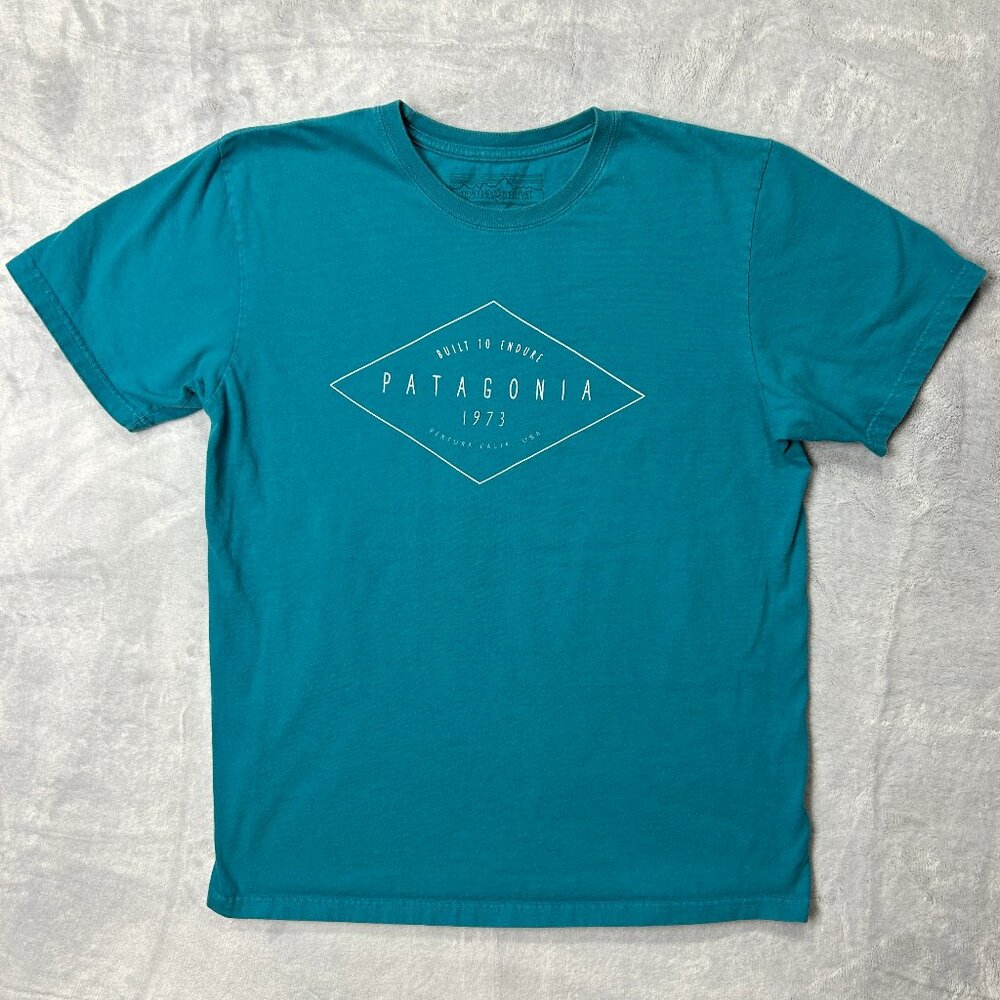 Patagonia T Shirt Mens Medium Blue Short Sleeve Regular Fit Outdoors Graphic